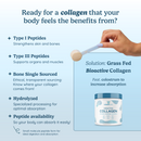 Bioactive Collagen