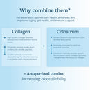 Bioactive Collagen